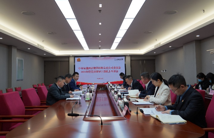 人生就是博集团党委书记、董事长任丁出席安逸酒店集团2022年度党员领导干部民主生活会